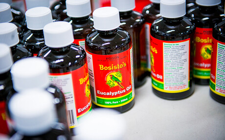 Kaeser compressors at Bosistos