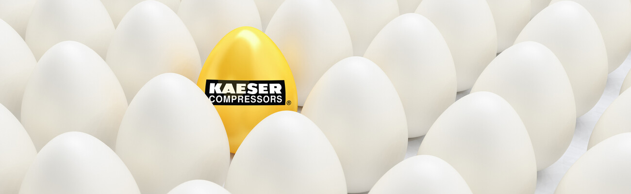 Kaeser Compressors Easter egg