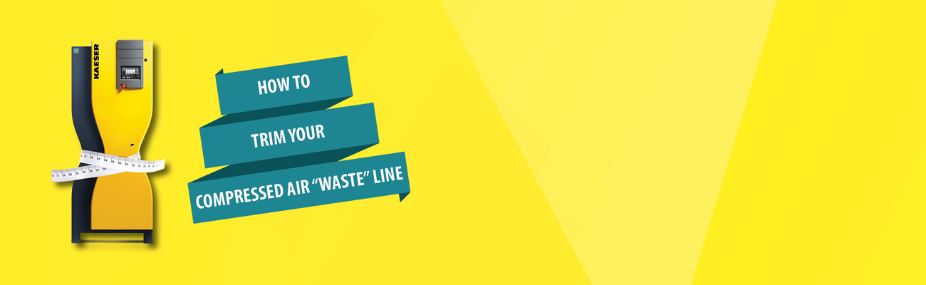 KAESER Know How blog post: Wanting to trim your “waste” line this January? INFOGRAPHIC