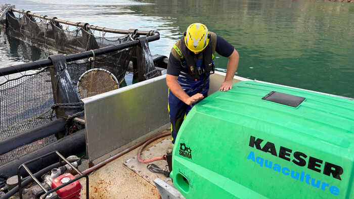 A-Akaroa-Salmon-NZ-1