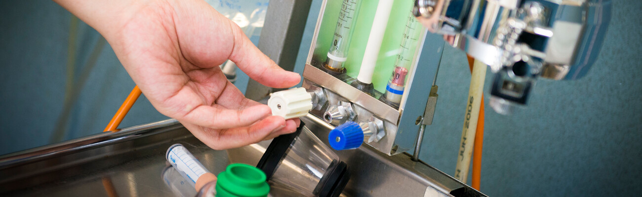 Kaeser compressor at RSPCA Burwood East