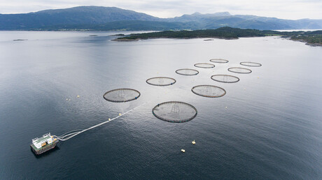 Kaeser Compressors compressed air and blower solutions for aquaculture - pictured a fish farm