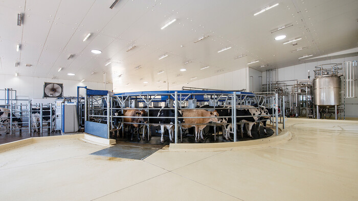 The AMR at Bannister Downs Dairy Farm - Kaeser Compressors press release