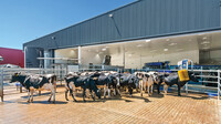 AMR at Bannister Downs Dairy Farm in action - Kaeser Compressors press release