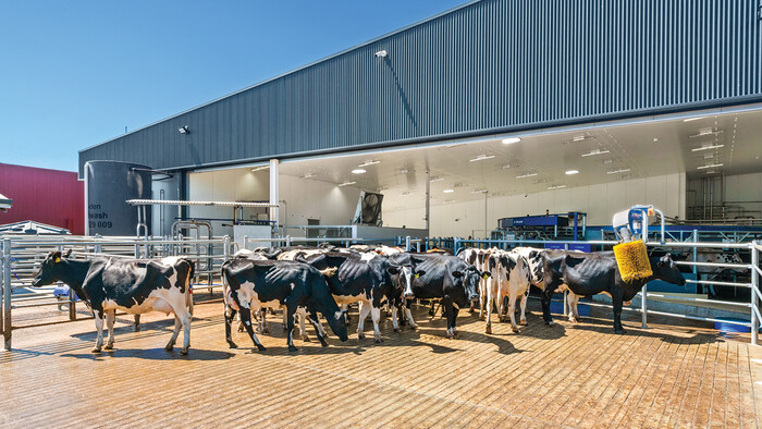 AMR at Bannister Downs Dairy Farm in action - Kaeser Compressors press release