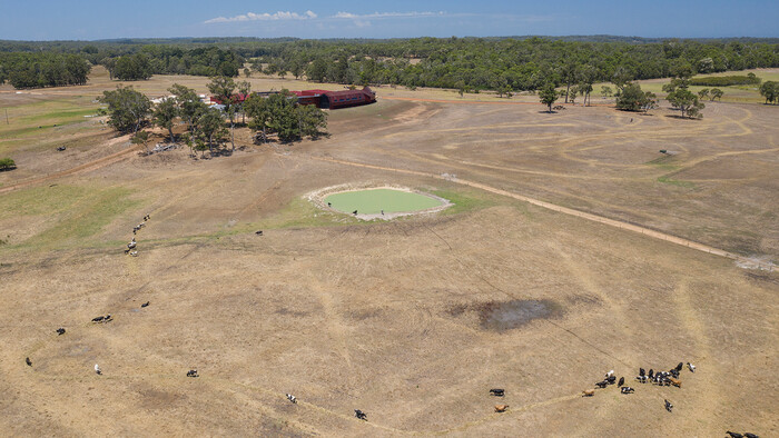 Bannister Downs Dairy Farm - Kaeser Compressors press release