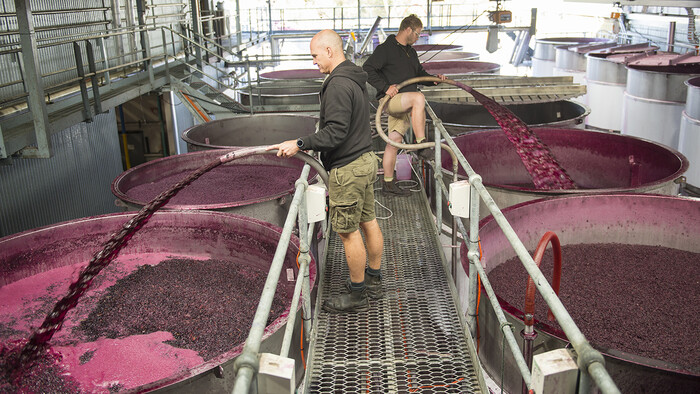 Kaeser SK 25 rotary screw compressor at Teusner Wines