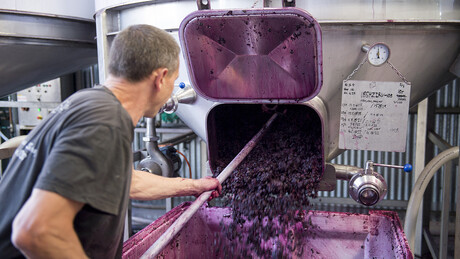 Kaeser SK 25 rotary screw compressor at Teusner Wines