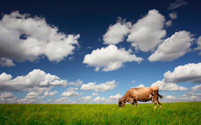 Kaeser compressors at Tatural Milk Industries