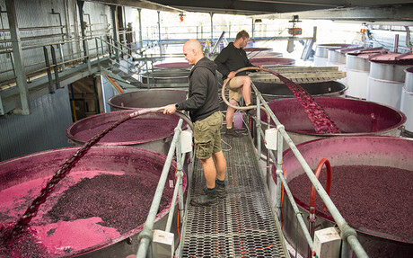 Kaeser Compressors at Teusner Wines