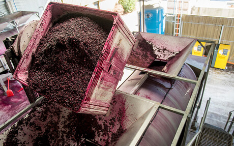 Kaeser Compressors at Teusner Wines