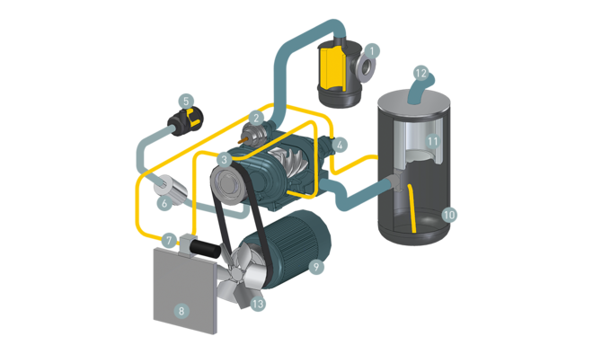 Component layout of a rotary screw vacuum pump