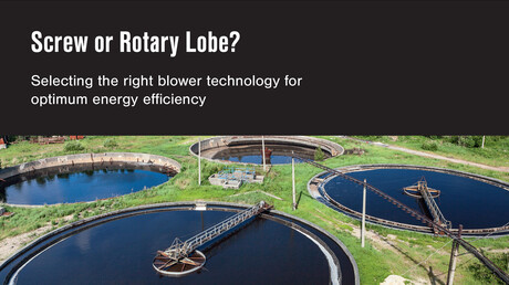 KAESER Compressors Whitepaper: Screw or rotary lobe?