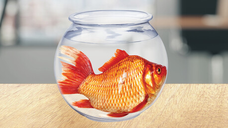 KAESER Know How blog post: Is a VSD compressor the right choice for optimum energy efficiency?