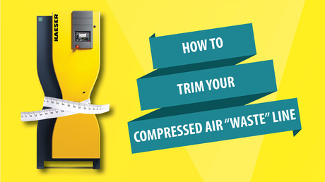 KAESER Know How blog post: Wanting to trim your “waste” line this January? INFOGRAPHIC